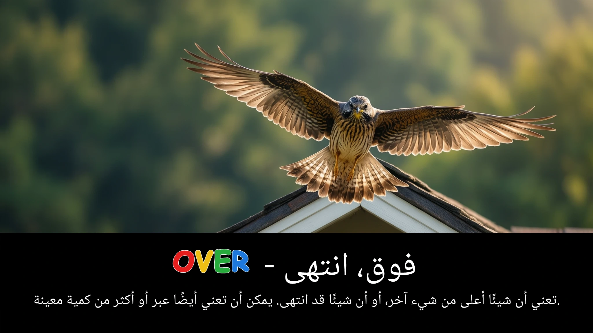 Arabic Illustration for over